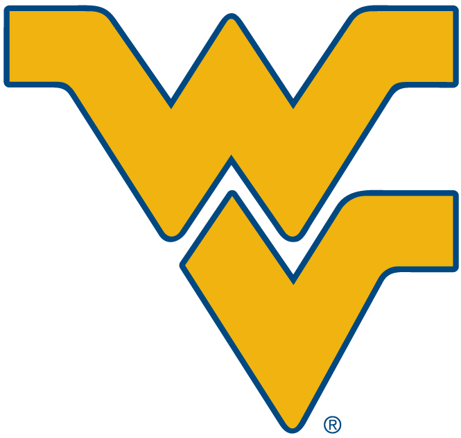 West Virginia Mountaineers 1980-Pres Alternate Logo v2 diy fabric transfer